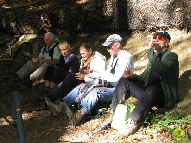 randonnée sportive avec joëlettes, Ovifat, 2012